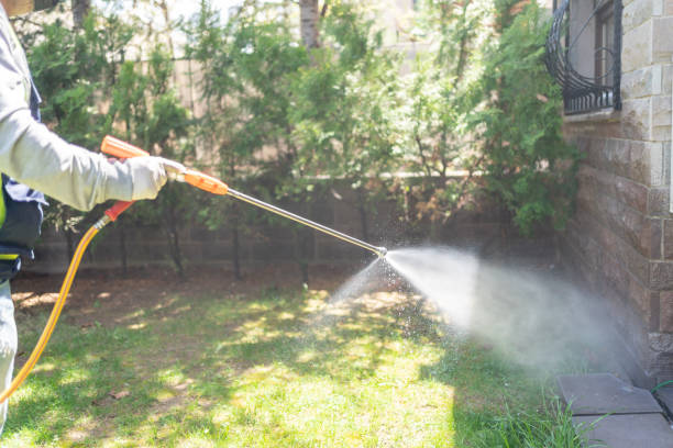 Best Flea Control Services  in Santa Moni, CA